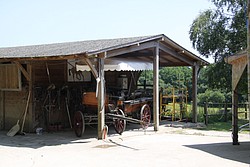 021_IMG_0673.JPG(145 KB)