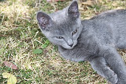 024_IMG_0679.JPG(200 KB)