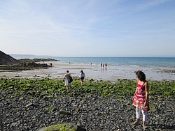 074_IMG_0329.JPG(171 KB)