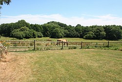 119_IMG_2601.JPG(180 KB)