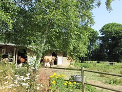 151_IMG_0345.JPG(306 KB)