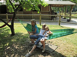 155_IMG_0351.JPG(245 KB)