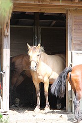 160_IMG_0785.JPG(101 KB)