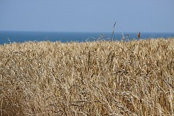 194_IMG_0803.JPG(196 KB)