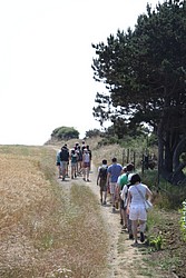 195_IMG_0804.JPG(132 KB)