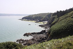 198_IMG_0807.JPG(141 KB)