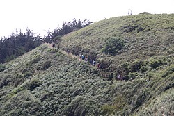 199_IMG_0809.JPG(222 KB)
