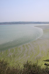 200_IMG_0810.JPG(94.1 KB)