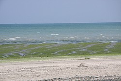 201_IMG_0811.JPG(118 KB)