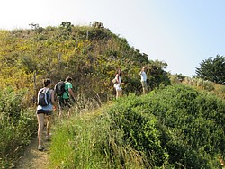 217_IMG_0377.JPG(245 KB)