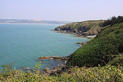 218_IMG_0838.JPG(159 KB)