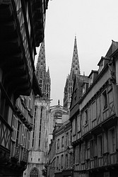 256_IMG_2668.jpg(95.6 KB)