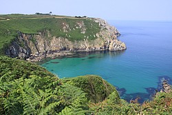 276_IMG_0882.JPG(180 KB)