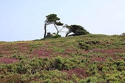 279_IMG_0888.JPG(184 KB)